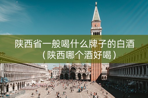 陕西省一般喝什么牌子的白酒（陕西哪个酒好喝）