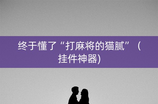 终于懂了“打麻将的猫腻”（挂件神器)