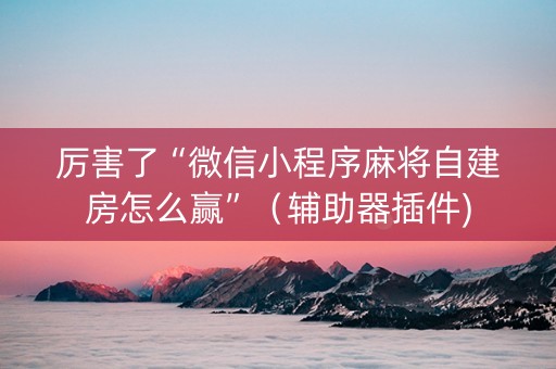 厉害了“微信小程序麻将自建房怎么赢”（辅助器插件)