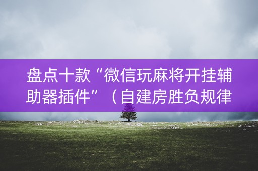 盘点十款“微信玩麻将开挂辅助器插件”（自建房胜负规律)