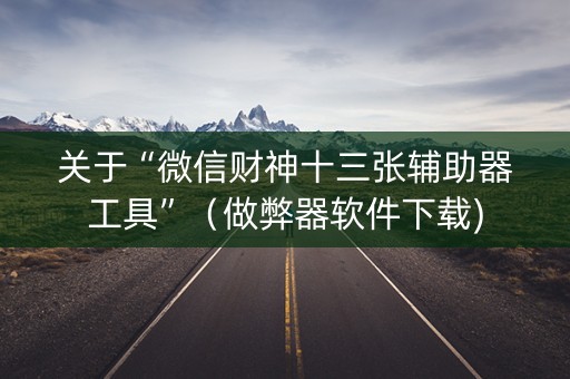 关于“微信财神十三张辅助器工具”（做弊器软件下载)