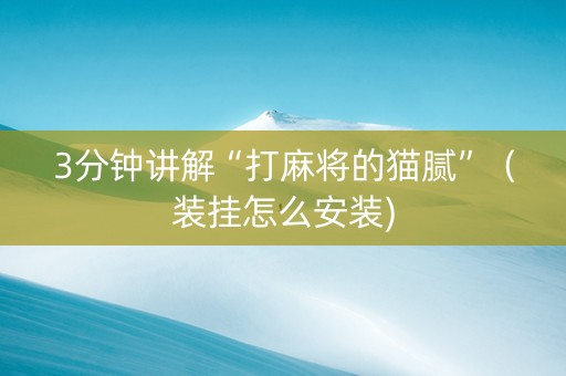 3分钟讲解“打麻将的猫腻”（装挂怎么安装)