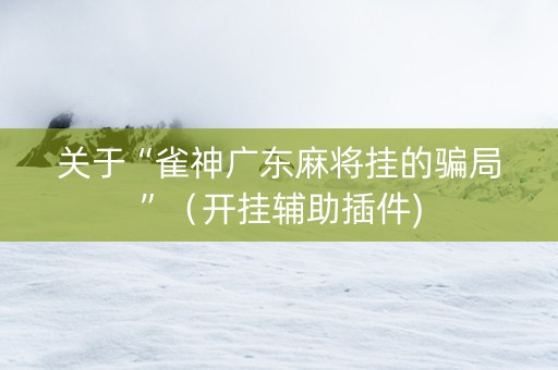 关于“雀神广东麻将挂的骗局”（开挂辅助插件)
