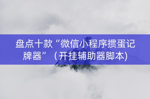 盘点十款“微信小程序掼蛋记牌器”（开挂辅助器脚本)