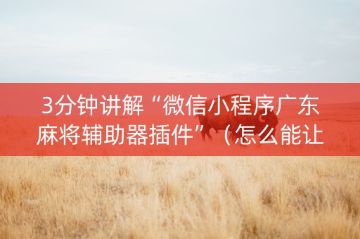 3分钟讲解“微信小程序广东麻将辅助器插件”（怎么能让牌好一点)