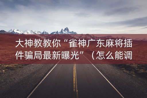 大神教教你“雀神广东麻将插件骗局最新曝光”（怎么能调好牌)