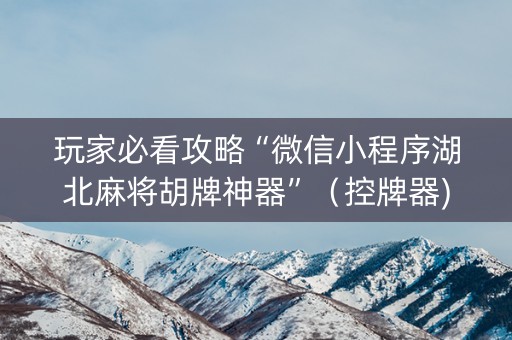 玩家必看攻略“微信小程序湖北麻将胡牌神器”（控牌器)