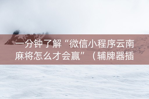 一分钟了解“微信小程序云南麻将怎么才会赢”（辅牌器插件购买)