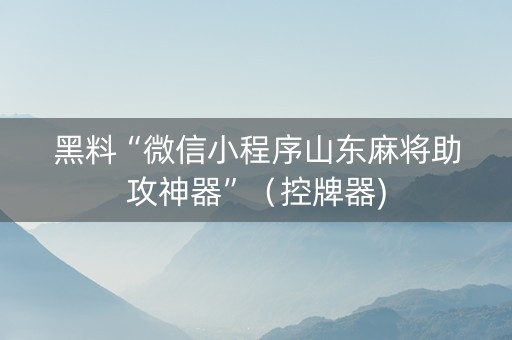 黑料“微信小程序山东麻将助攻神器”（控牌器)