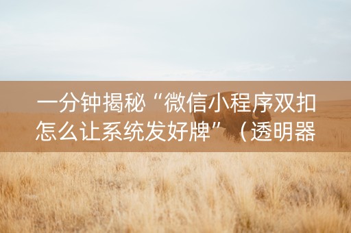 一分钟揭秘“微信小程序双扣怎么让系统发好牌”（透明器教程)