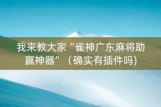 我来教大家“雀神广东麻将助赢神器”（确实有插件吗)