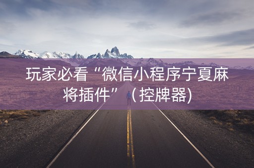 玩家必看“微信小程序宁夏麻将插件”（控牌器)
