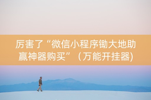 厉害了“微信小程序锄大地助赢神器购买”（万能开挂器)