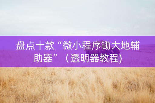 盘点十款“微小程序锄大地辅助器”（透明器教程)