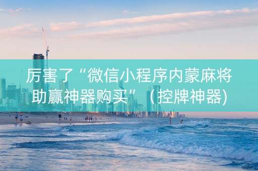 厉害了“微信小程序内蒙麻将助赢神器购买”（控牌神器)