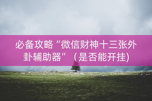 必备攻略“微信财神十三张外卦辅助器”（是否能开挂)
