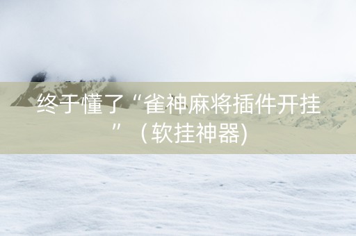 终于懂了“雀神麻将插件开挂”（软挂神器)