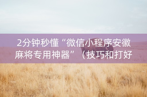 2分钟秒懂“微信小程序安徽麻将专用神器”（技巧和打好牌方法)