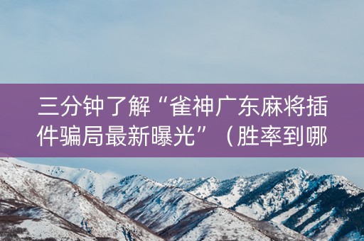 三分钟了解“雀神广东麻将插件骗局最新曝光”（胜率到哪调)