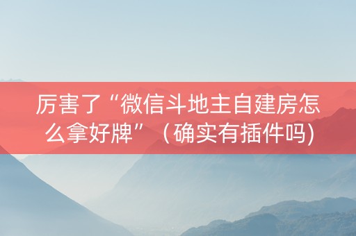 厉害了“微信斗地主自建房怎么拿好牌”（确实有插件吗)