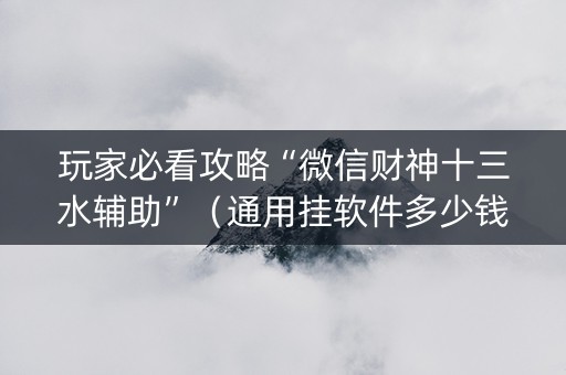 玩家必看攻略“微信财神十三水辅助”（通用挂软件多少钱)