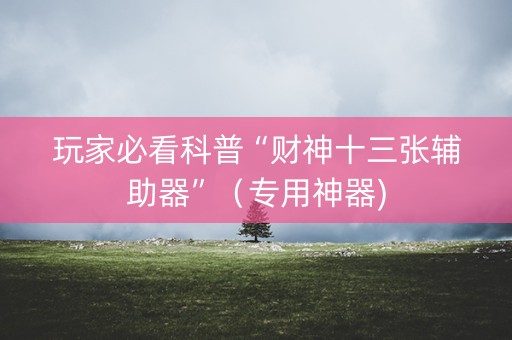 玩家必看科普“财神十三张辅助器”（专用神器)