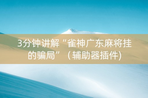 3分钟讲解“雀神广东麻将挂的骗局”（辅助器插件)