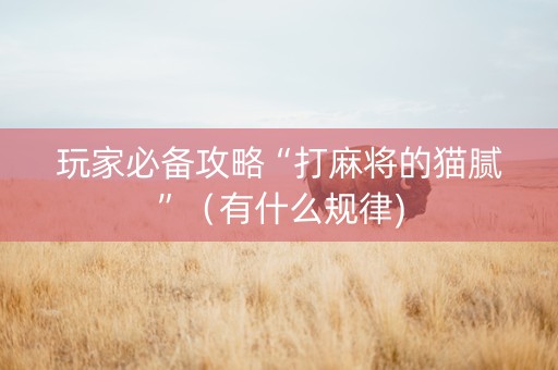 玩家必备攻略“打麻将的猫腻”（有什么规律)