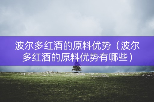 波尔多红酒的原料优势（波尔多红酒的原料优势有哪些）