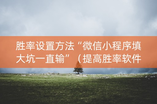 胜率设置方法“微信小程序填大坑一直输”（提高胜率软件)