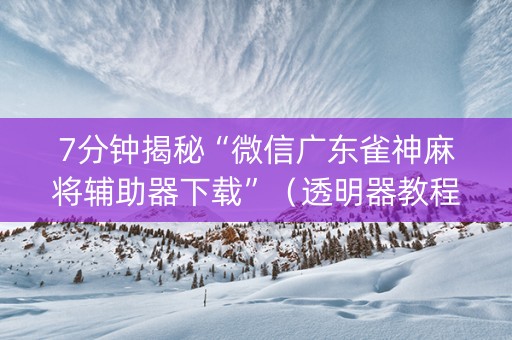 7分钟揭秘“微信广东雀神麻将辅助器下载”（透明器教程)