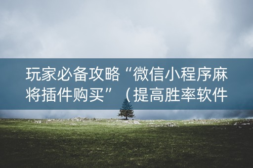 玩家必备攻略“微信小程序麻将插件购买”（提高胜率软件)
