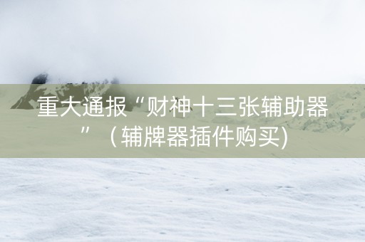 重大通报“财神十三张辅助器”（辅牌器插件购买)