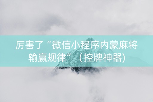 厉害了“微信小程序内蒙麻将输赢规律”（控牌神器)