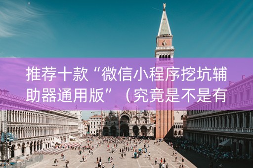 推荐十款“微信小程序挖坑辅助器通用版”（究竟是不是有挂)