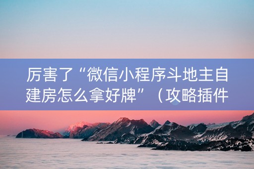 厉害了“微信小程序斗地主自建房怎么拿好牌”（攻略插件)