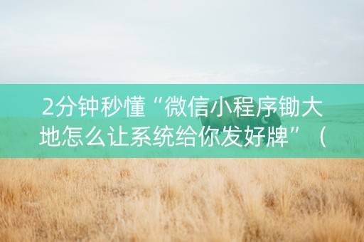 2分钟秒懂“微信小程序锄大地怎么让系统给你发好牌”（辅牌器插件购买)