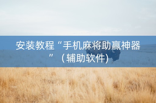 安装教程“手机麻将助赢神器”（辅助软件)