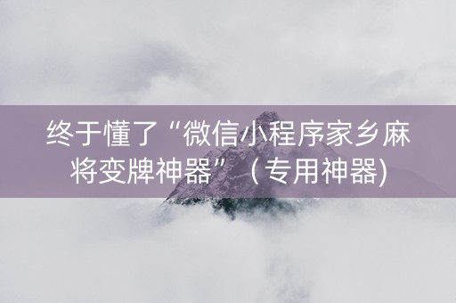 终于懂了“微信小程序家乡麻将变牌神器”（专用神器)