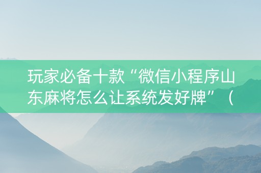 玩家必备十款“微信小程序山东麻将怎么让系统发好牌”（辅牌器插件购买)