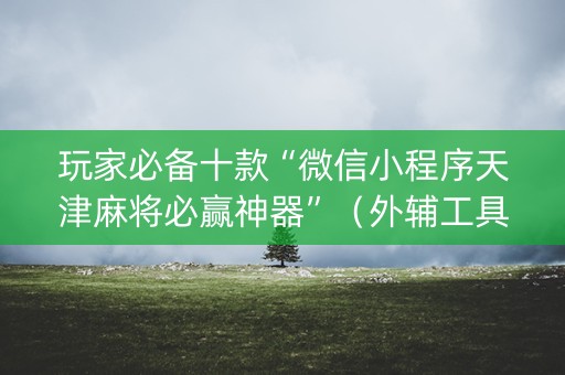 玩家必备十款“微信小程序天津麻将必赢神器”（外辅工具)