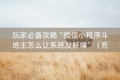 玩家必备攻略“微信小程序斗地主怎么让系统发好牌”（充值会提高胜率么)