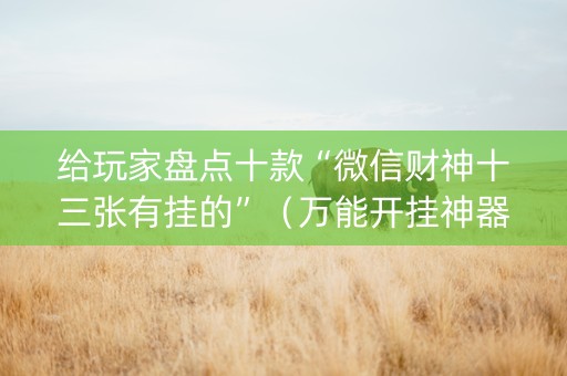 给玩家盘点十款“微信财神十三张有挂的”（万能开挂神器)