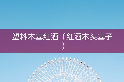 塑料木塞红酒（红酒木头塞子）