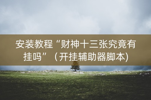 安装教程“财神十三张究竟有挂吗”（开挂辅助器脚本)