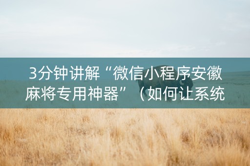 3分钟讲解“微信小程序安徽麻将专用神器”（如何让系统发好牌)