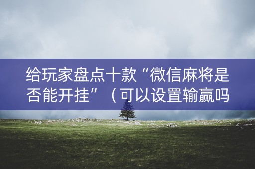 给玩家盘点十款“微信麻将是否能开挂”（可以设置输赢吗)