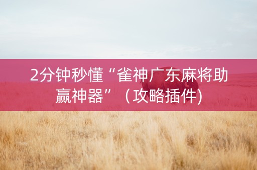 2分钟秒懂“雀神广东麻将助赢神器”（攻略插件)
