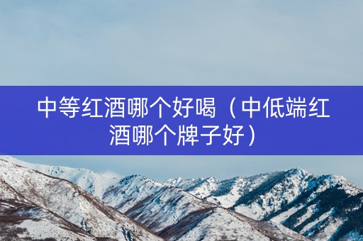 中等红酒哪个好喝（中低端红酒哪个牌子好）