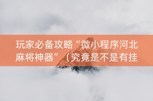 玩家必备攻略“微小程序河北麻将神器”（究竟是不是有挂)
